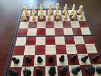 Настольные игры для детей и взрослых 1toy 3в1 шашки, шахматы, нарды, 25х13,2х3,5см #4, Андрей А.