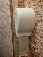 Диспенсер/держатель настенный для туалетной бумаги в рулонах Laima Professional "Original" (Система T2), малый, белый #7, Инна Ф.