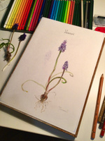 Карандаши цветные художественные профессиональные Faber Castell Polychromos 36 цв. #101, Татьяна П.