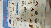 Природные зоны России. Животные и растения. Обучающий плакат (+ 80 наклеек) #8, Светлана Р.