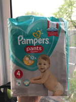 Подгузники трусики Pampers Pants, 9-15 кг, размер 4, 16 шт #22, Анжелика С.