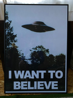 PostersRu Постер "Секретные материалы (I want to believe)", 70 см х 50 см #5, Алина И.