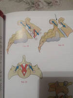 Позвоночник: Физиология суставов (обновленное издание) | Капанджи А. И. #3, Юлия Б.