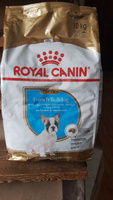 Сухой корм для щенков породы французский бульдог Royal Canin French Bulldog Puppy, с птицей, 10 кг #6, Клавдия С.