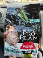 Pro Plan Adult Medium OptiDigest сухой корм для взрослых собак средних пород с чувствительным пищеварением, с ягненком - 3 кг #1, Быстрова