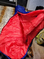 Спальник туристический/Спальный мешок TREK PLANET Bergen,зимний, трехсезонный, левая молния, цвет: синий #4,  Константин