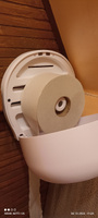 Диспенсер/держатель настенный для туалетной бумаги в рулонах Laima Professional (Система T2), малый, материал ABS пластик, белый #31, Алексей М.