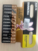 Duracell Батарейка AAA, Щелочной тип, 1,5 В, 12 шт #39, Дарья А.