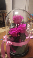 Роза в колбе живая, вечная, стабилизированная "Тройная PR" 32см, подарок маме, женщине, на 8 марта , на день рождения, Цвет: Малина #7, Ульрих Д.