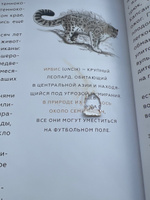 История Земли: от звездной пыли к звездной пыли | Нелихов Антон Евгеньевич #1, Предприниматель