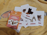 Развивающие карточки для малышей "Животные и детеныши" (Обучающие логопедические карточки Домана для детей) 30 шт. #39, Карина В.