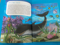 Я дельфин с раскрасками / Познавательные книги для детей | Мирзоев Владимир #5, Виктория Кудрявцева