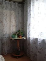 Curtain & Textile Тюль высота 230 см, ширина 300 см, крепление - Лента, Белый,светло-коричневый #67, Раиса В.