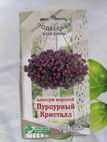 Алиссум морской ПУРПУРНЫЙ КРИСТАЛЛ, 1 пакет, семена 0,02 гр, Евросемена #23, Ирина Л.