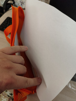 Папка школьная для тетрадей А4 на молнии с ручками пластик, папка для ИЗО #83, Денис Р.