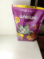 Корм сухой Whiskas для взрослых кошек, подушечки с нежным паштетом, с курицей и индейкой, 3 шт. по 800 г #1, Эльмира С.