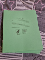 Комплект тетрадей из 20 штук, 12 листов в клетку КПК "Зёленая обложка", блок офсет, белизна 92% #40, Наталья Г.