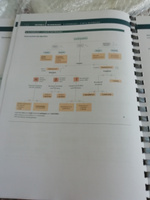 First Aid for the USMLE Step 1 2024 + Fundamentals of Pathology: Husain A. Sattar (2021) #6, Наталья И.