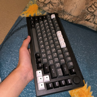 Игровая Клавиатура AKKO 5075S Black&Sliver V3 Pro Cream Yellow Switch, USB, RGB, Hot Swap, ASA profile keycap #14, Александр С.