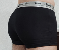 Трусы боксеры CLEVER WEAR Бамбук, 1 шт #19, Роман М.