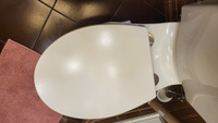 Сиденье для унитаза с микролифтом крышка сидушка на туалет быстросъемное 430мм #7, Михаил О.