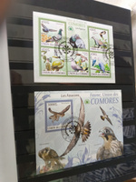 Набор марок #201 Птицы мира-4 Чайки, утки, ястребы, голуби 10 шт #3, Лена А.