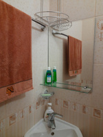 Стекольное производство БРИДЖ Зеркало для ванной, 40 см х 55 см #1, Андрей