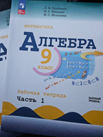 Алгебра 9 класс. Базовый уровень. Рабочая тетрадь. Комплект в 2-х частях. ФГОС | Крайнева Лариса Борисовна, Миндюк Нора Григорьевна #1, Ольга П.