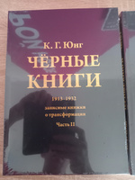 Черные книги. 2 части #2, Александр Ф.