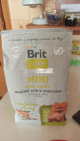 Сухой корм для взрослых cобак минипород BRIT CARE Mini с лососем и индейкой "Adult.Healthy Skin&Shiny Coat",1.5 кг #37, Виктория