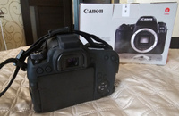 Фотоаппарат Canon EOS 77D body #2, Александр К.