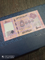 Банкнота 5000 ливров, Ливан, 2014г., UNC #6, Рим Х.