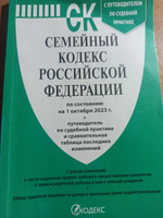 Семейный кодекс РФ по сост. на 25.09.24 с таблицей изменений и с путеводителем по судебной практике. #4, Елизавета П.