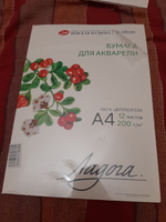 Бумага для акварели в папке Невская палитра Ладога, А4, 200 г/м2, 100% целлюлоза, 12 листов 252781936 #8, Лилия Б.