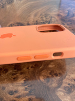 Чехол-накладка для iPhone 12, 12 Pro / Slicone Case MagSafe / Цветная анимация / Kumkqat #6, Антон В.