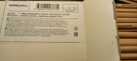 Набор карандашей чернографитных HВ, Красин, простых, без ластика #132, Артем Б.