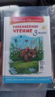 Внеклассное чтение. 3 класс (Сборник для внеклассного чтения). Книга для детей, развитие, мальчиков и девочек #2, Щербинина Елена