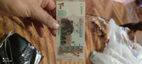 Банкнота 200 фунтов, СИРИЯ, 2009г., UNC #3, Алексей 