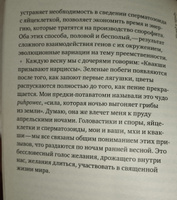 Жизнь в пограничном слое. Естественная и культурная история мхов | Киммерер Робин Уолл #1, Елена А.