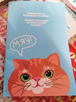 Ветеринарный паспорт для кошек "Рыжий кот", международный #67, Светлана К.
