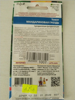 Томат МАНДАРИНОВАЯ ГРОЗДЬ, 1 пакет, семена 20шт, Уральский Дачник, для открытого грунта и парников #24, Татьяна Ф.