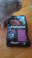 ALPHAPET SUPERPREMIUM 1.5 кг сухой корм для взрослых домашних кошек и котов с говядиной и печенью #22, Людмила Ш.