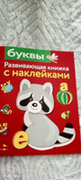 Буквы. Развивающие книжки с наклейками | Маврина Лариса Викторовна #4, Елена Г.