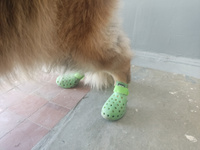 Ботинки-сабо для собак и кошек, сандалии Arnydog, кроксы зеленые, XL (8,9 см) #1, Наталья Ш.