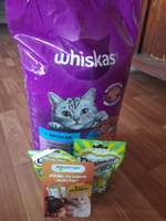 Сухой корм Whiskas Вкусные подушечки для кошек с лососем, 5 кг. #13, Надежда Б.