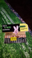 Duracell Батарейка AAA, Щелочной тип, 1,5 В, 12 шт #99, Денис Г.