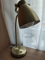 Светильник настольный в стиле Лофт с гибким плафоном Е27 #1, Алла Н.