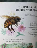 Оглянись вокруг. 50 маленьких событий в живой природе, ради которых стоит замедлиться | Уильямс Рэйчел #6, Красковская Екатерина