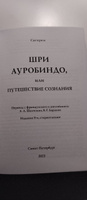 Шри Ауробиндо, или Путешествие сознания #2, Татьяна К.