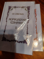 Морфология сознания (комплект из 2 томов) Савельев Сергей | Савельев Сергей В. #3, Павел М.